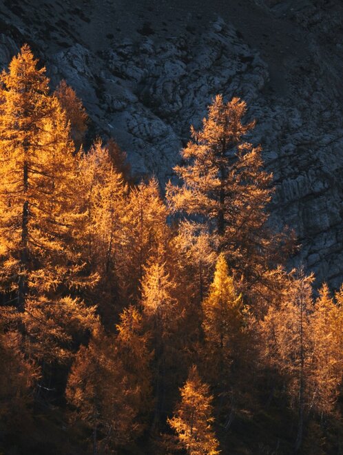 Beste Angebote für Urlaub in Naturns am Sonnenhang